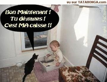 pour rire