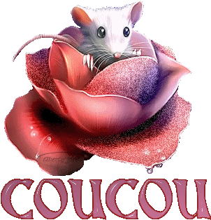 Bienvenu sur mon blog